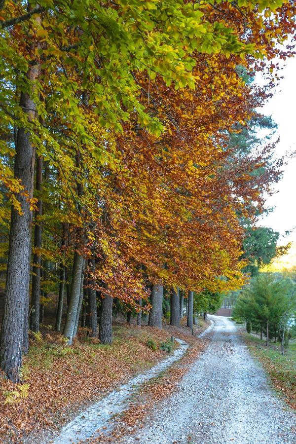 Boticas Parque Natur Houses 外观 照片