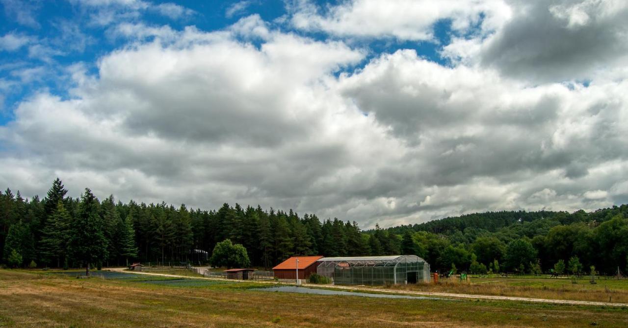 Boticas Parque Natur Houses 外观 照片