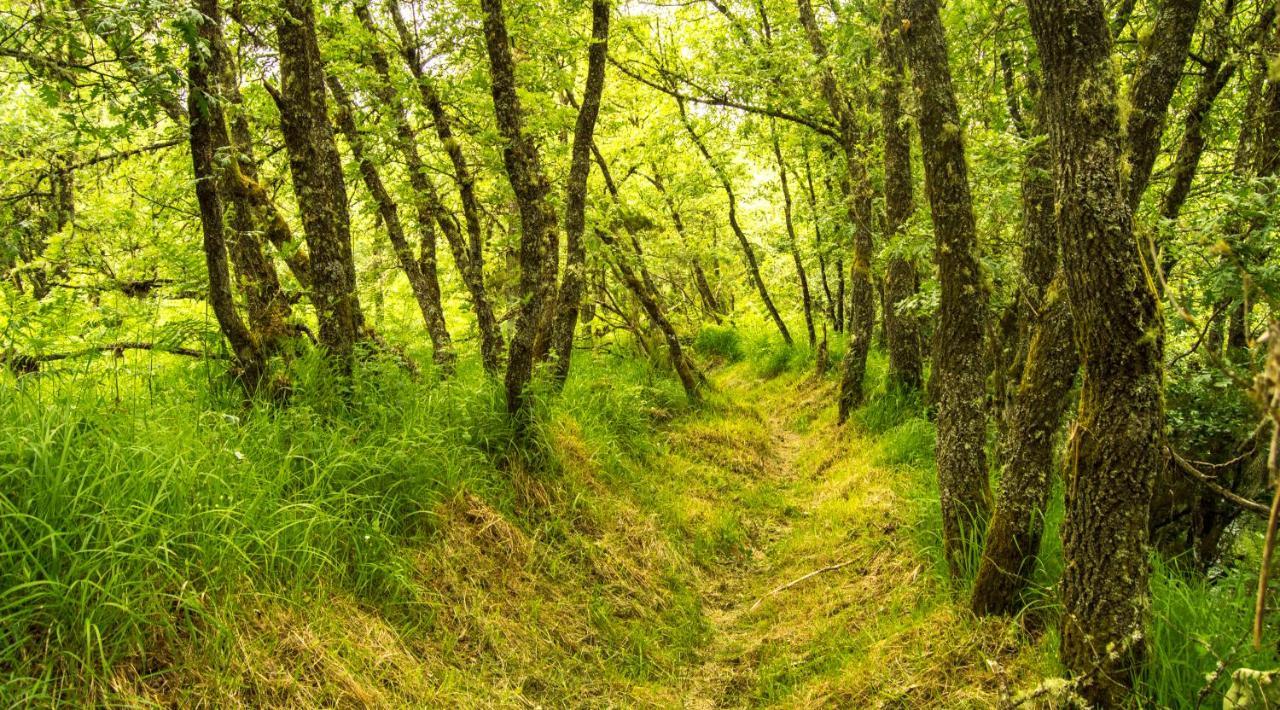 Boticas Parque Natur Houses 外观 照片