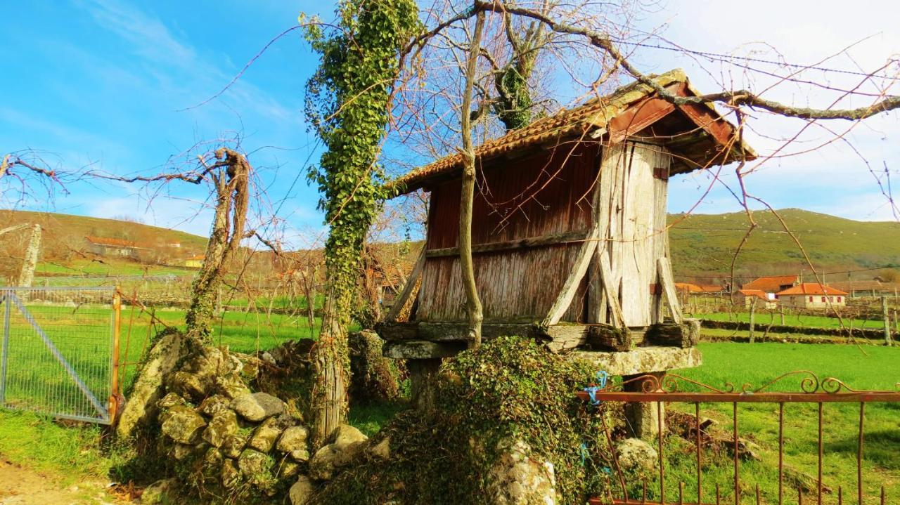 Boticas Parque Natur Houses 外观 照片